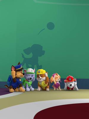IT’S FRIDAY 🎉! How is your pack sliding into the weekend? #PAWPatrol