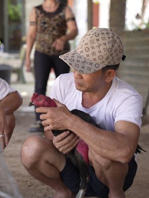 Huy về quê thăm ông ba vợ #huyquanhoa #giaitri 