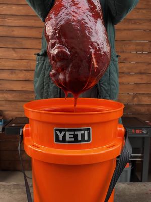 SMOKED OSTRICH LEG. We’ve Traegered a lot of crazy things but this cook took the cake. Smoked with @meatermade precision on our trusty Woodridge. How would you tackle it? #TraegerGrills #Traeger #Traegerhood #MeaterMade #BBQ #Grilling #MeatLovers #Carnivore #CookingReels #FoodReels #Foodie #HomeCooking #GrillLife #Cookout