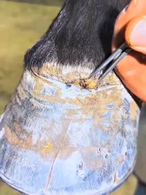 welding trick #welding #asmr #weldernation #weldingtiktok #welder 
