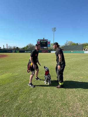 Pre Game Tok with the goodest boy @chiefthebatdog  #dalmatian #bananaball #fun 