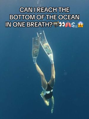 Can you hold your breath through the WHOLE video?👀🫁🤿 Follow to see my MAX DEPTH soon!👀 Shallow water blackout is real, so never dive alone! Wearing my @apple Watch Ultra 2 which shows me the time and depth of each dive!⌚️ Use code ALYSSA10 for 10% off my fins at @Mon 🩵 #freediving #ocean #hawaii #sharks #oceanlife 
