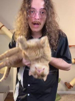 Orange cats aren’t afraid of anything. Except for this. #catsoftiktok #cat #orangecatsoftiktok #orangecatbehavior #catlovers 