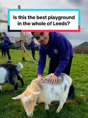 This school in Leeds has a playground like something out of a children’s book! Alwoodley Primary School has GOATS, a fire pit, a sandpit, swings and more 🫨 They’re even allowed to climb trees and push each other round in prams and trolleys! It’s because it’s an OPAL School - which means ‘outdoor play and learning’ is a big priority - and is believed to impact positively on the children’s development.  Climbing trees, for example, is said to encourage children to assess their own risk.  The goats are called Nico, Nero and Noodle - and roam around freely during breaktime. They enjoy snacking on the playground grass too! 🐐 At ‘Loose Parts’, kids are encouraged to get creative with the spare bits and pieces, whether it’s tyres, wood or cardboard 📦 ‘Let’s Dig’ is a huge area where children can hunt for treasure - and you can keep whatever you find! 🪙 At the Mud Cafe, there’s Grass Masala, Mud Korma and Twig Stew on the menu too 😂 Alwoodley School was recently assessed and received the Platinum Award, which only 1% of OPAL schools receive 🤩 #leeds #leedsnews #leedsschool #playground #alwoodley 