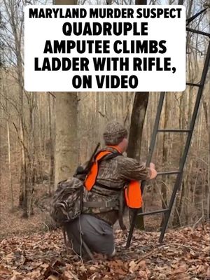 😱🫢 Dayton James Webber -- the professional cornhole player accused of murder, who happens to be a quadruple amputee -- climbed into a tree with a rifle strapped to his back in a newly resurfaced clip. All the details at the link in bio.