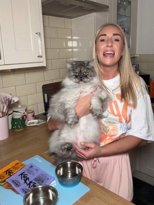 Ad Wolfie & Marley approved 🐾 🐾 @KatKin.Club use code WOLFIE50 for 50% off your first order 🔗 in bio  #katkin #catsoftiktok #cattok #mumsoftiktok #singlemumlife 