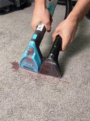 Which is the best stain remover? #stainremover #stains #greenish #petstains #deals 