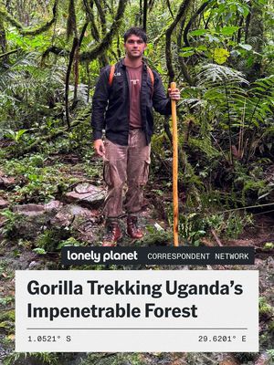"As someone who’s been traveling for over two years, sometimes you feel like you’ve seen it all," says Lonely Planet Correspondent @Sean Hammond, who got the chance to trek through the Bwindi Impenetrable National Park – home to more than half the world’s population of endangered mountain gorillas and known for its conservation efforts and biodiversity – with Explore Uganda. "But to be this close to an animal as beautiful as the gorilla, out in the open, is a feeling I’ll never forget." Looking to trek through this ancient rainforest (dating back over 25,000 years), too? Aim for when the weather's best in June, July, August, September or December.