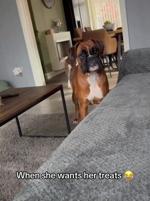 Doggo went 👅 (🎥:@Deciboy 💪🔥) 