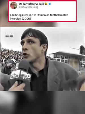 How did he get the lion in there 😭 (via catsareblessing/X) ##football##futbol##Soccer##lion##romania