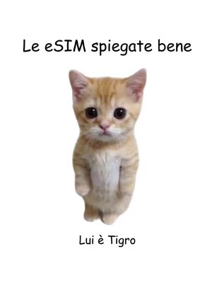Dì addio ai costi di roaming.