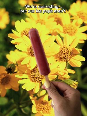 Suns out, pops out ☀️ Which Popsicle ice pop flavor are you celebrating spring with? #Popsicle #Springtime #SpringIsHere