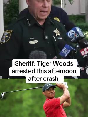 Tiger Woods getting arrested in 2026 😬 #golf #golftiktok #tigerwoods #golftok #golfer 