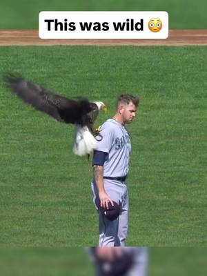 Imagine an eagle landing on your shoulder before a game 😳🦅 #MLBonNetflix  #baseball #MLB #sports 