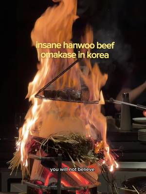 best dining in korea and it was affordable omakase????  wumok in seoul korea for a super yummy premium beef hanwoo omakase pre fix experience. Such an amazing experience and food is insane and u will leave stuffed! They open reservations one month ahead on the first so b fast! #korearestaurant #seoulrestaurants #wumok #hanwoo 
