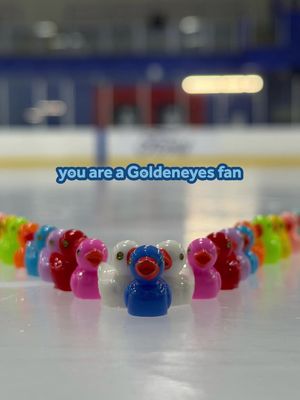 if this finds you, it’s meant to be 🤩 #pwhl #hockey #goldeneyes #vancouver 
