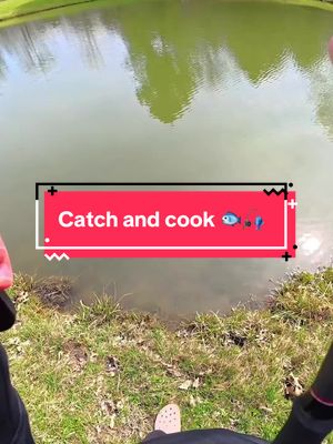 Today I’m Fishing for LUNCH 🐟🎣 #fishing 