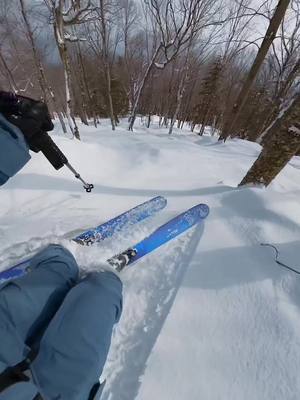 snow 🤝 neige ❄️❄️❄️ Whatever you call it, Canada has it right now and @Abe Kislevitz scored some soft glade laps at @Tremblant this week. Shot on @GoPro Buy now, ride now at Tremblant and many others with a 26/27 #IkonPass #skiing #gopro #spring #canadatravel