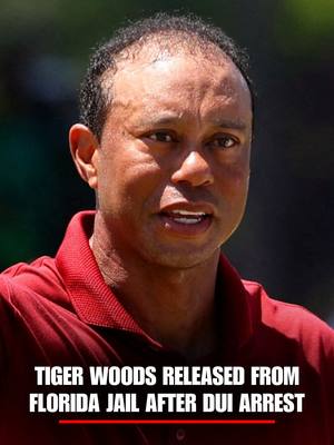 NEW: Tiger Woods was released from jail late Friday night after his arrest for driving under the influence following a car crash in Jupiter, Florida. In addition to his DUI charge, Woods also faces charges for property damage and refusal to submit to a lawful test.
