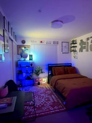 The world is asleep #smallbedroom #roomdecor #bedroominspo 