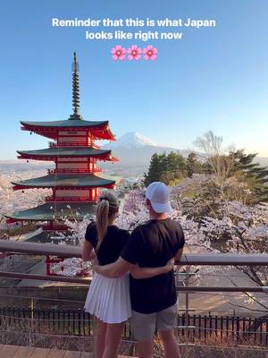 Save for our favourite cherry blossoms spots in Japan and swnd this to the person you want to experience cherry blossom season with!! 🌸Cherry blossoms are typically in full bloom from mid March to early April and it of course changes where you are in Japan. Make sure to check the cherry blossoms schedule on your trip! Fave Blossom Spots Mt. Yoshino (Nara): Renowned as Japan's premier spot for over a thousand years, with 30,000+ trees covering the mountainside. Himeji Castle (Hyogo): A quintessential scene with over 1,000 cherry trees blooming around the iconic white castle. Lake Kawaguchiko: Offers the iconic view of cherry blossoms, pagodas, and Mount Fuji! Ueno Park and Shinjuku Gyoen in Tokyo: iconic spots in the city Philosopher's Path (Kyoto): A scenic canal-side walk lined with hundreds of cherry trees. Make sure to follow @megsandpat! We are a married couple in our thirties travelling the world and ticking off our bucket list!!