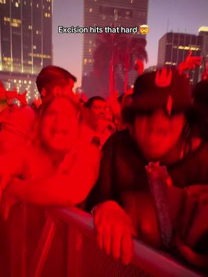 No one was standing still during this set 💀#wubz #ultra2026 #dubstep 