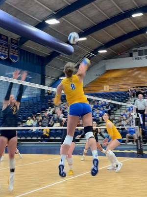 Pitt Volleyball is BACK 🤗 #H2P #volleyball #volleyballworld @Blaire @NCAA Volleyball 