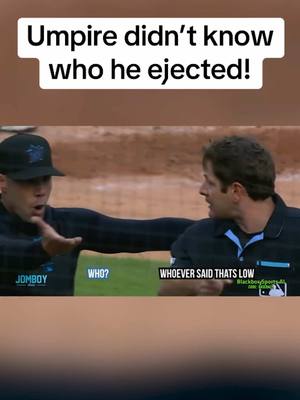 Arguably my favorite breakdown over the last five years. Still laugh every time I think about it  #MLB #baseball #tigers #marlins #breakdown