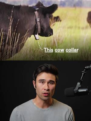 🐄 Halter, a New Zealand agtech startup, has developed AI-powered smart collars that create virtual fences for cattle, allowing farmers to manage herds remotely through a phone app. The collars use sound and vibration cues to guide cows, collect over 6,000 data points per minute, and use machine learning to track grazing, predict disease, and detect breeding cycles. Founded by Craig Piggott, who grew up on a dairy farm, Halter now manages nearly 650,000 cows across 1,300 farms in New Zealand, Australia, and the United States. The company recently raised $220 million at a $2 billion valuation 👀