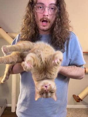 proving my cat does have and can use his brain when he wants to 💪🧠 we taught him how to sit with @Delectables lickable spoons #delectablespartner #catsoftiktok #cat #orangecatsoftiktok #orangecatbehavior 