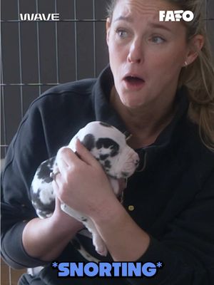 Kylie was not ready for PUPPY SNORTS 🥹