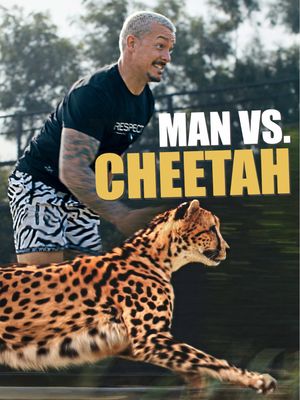 Tag someone who You think could win a cheetah in a 100m race!😝🔥 A BIG Thanks to @forrest.galante and @vantara ( on IG) for lining this up and of course for all the incredible work done at Vantara Sanctuaries. • The YT Episode went completely Viral🔥 Link in Bio🔗🎥