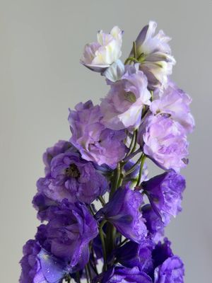A natural blue like this? Not easy to find. #flowers #springtime #spring #delphinium #flowerarrangement