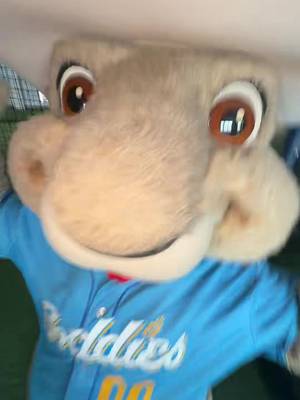 POV: Opening Day is FRIDAY 🤩🤩🤩 #amarillo #milb #mascot #baseball #MLB 