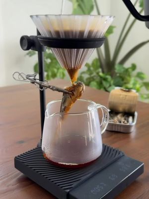 Sardine pour over