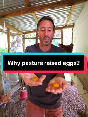 Pasture raised > regular eggs