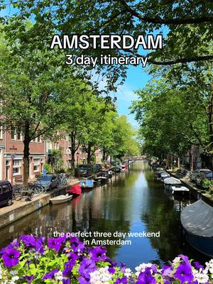 Three days in Amsterdam, spring edition 🌷 What would be the first thing on your list? #KLM #RoyalDutchAirlines #Amsterdam #Spring  @lizzyparkin