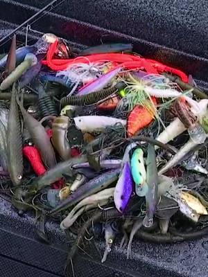 Who has a “bait ball” like this in your arsenal?  #bait #fishing #fishtok #lol #holycow @Michael Neal 