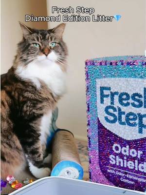 “only the finest for you, your royal highness” 👑 if you REALLY love your cat, you’ll spare no expense trying to make their throne as comfortable (and shiny) as possible 💙 #AprilFools 😛 Febreze is used under license from P&G #catparent #catlitter #catsoftiktok #funnypets  