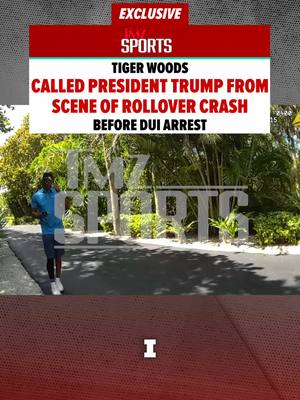 In the time between Tiger Woods flipping his car and being arrested for DUI, the golf legend dialed up President Donald Trump from the scene of the crash.