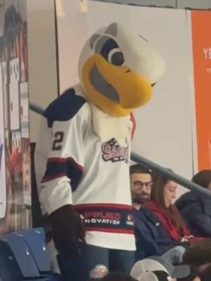 You never know when Sammy is lurking 👀 🦅 #sammyspirit #mascot #saginawspirit #ohlhockey 