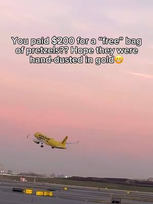 Why would you do that when you could’ve just stopped at the store on the way to fly with us? #spirit 