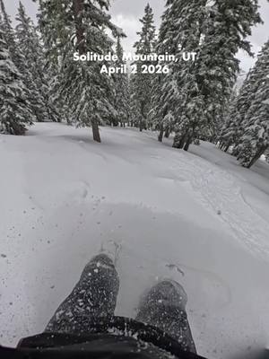 Over a foot of new Spring snow at @solitudemountain in Utah 👀 26/27 #IkonPass holders can also get in on the fun when you buy now, ride now. 🎥: @gopro / #GoPro @goprosnow #utah #skiing #snowboarding