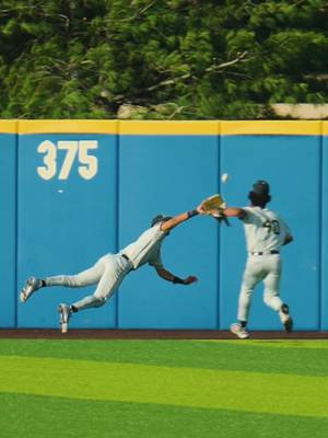 He caught that😳 #GoDeacs🎩 #WakeForest #baseball #collegebaseball #sctop10 