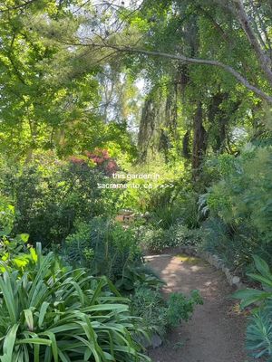 One of my favorite places 🌱🦋✨☀️ #beginnersguidetosac #sactiktok #thingstodoinsacramento 