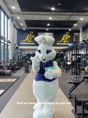 The @Wallabies take on their own Cadbury egg hunt… and things got competitive.   #AD #CadburyEaster #Wallabies #TheHuntsStartsHere #cadburyau