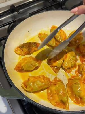 Birria dumplings #fyp