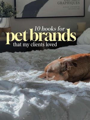 10 hooks for pet brands that my clients loved🐶🤳🏻 📧: Kaytelynn.ugc@gmail.com #petugc #ugcpet #ugcpets #dogugc #ugcdog Pet UGC, pet UGC creator, pet content, dog content, dog UGC, UGC dog, UGC hooks, UGC creator, marketing 
