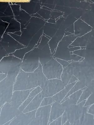 …..Rocky? Trying to communicate with me🧑🏼‍🚀 #projecthailmary #spider