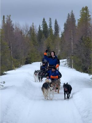 So much fun #huskysledding 🥶❄️ #Jessiescape #Finland #Travel #PQReview @mrquestse 